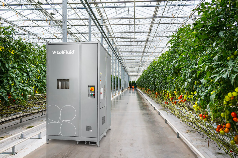 Project Freya: Natuurlijke stikstof voor de teelt van gewassen