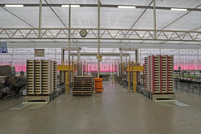 Slimme verpakkingslijn