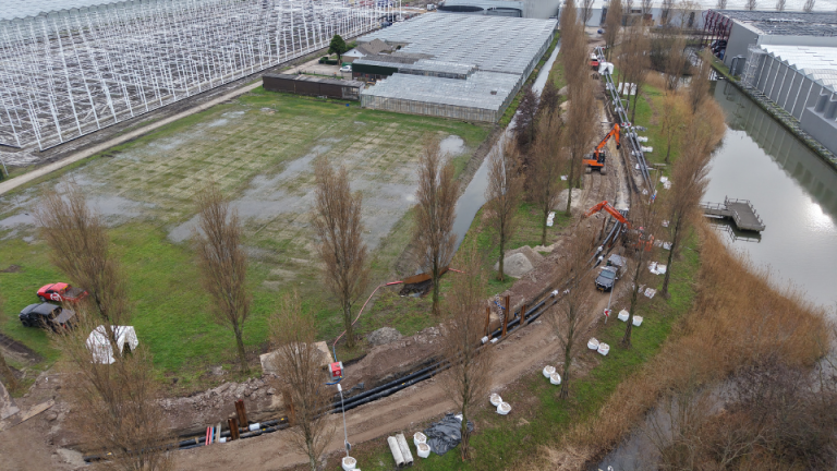 Aardwarmte in plaats van gas: Koppert Cress markeert nieuwe fase in fossielvrij telen